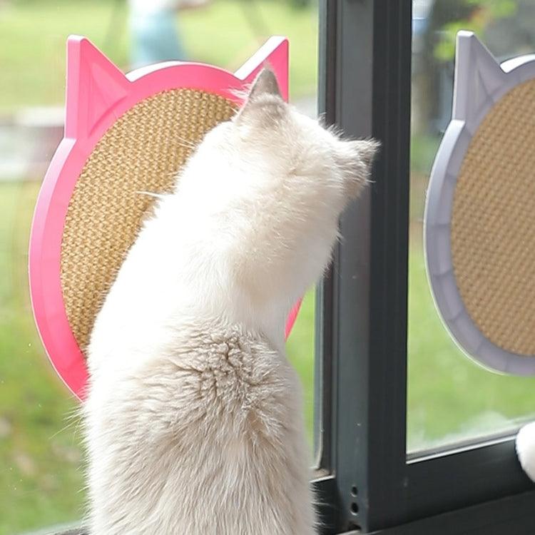 a cat looking out a window