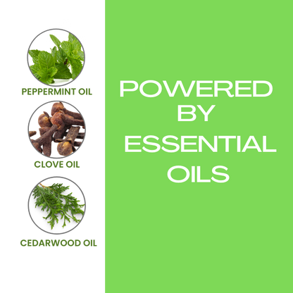 Healthy Paw Life's Flea and Tick Shampoo for Dogs and Cats - Powered by Natural Essential Oils