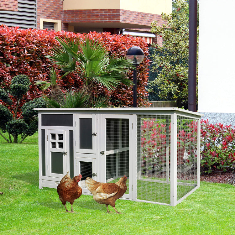 chickens in a backyard