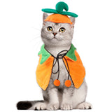 Reversible Pumpkin Halloween Cape for Pets