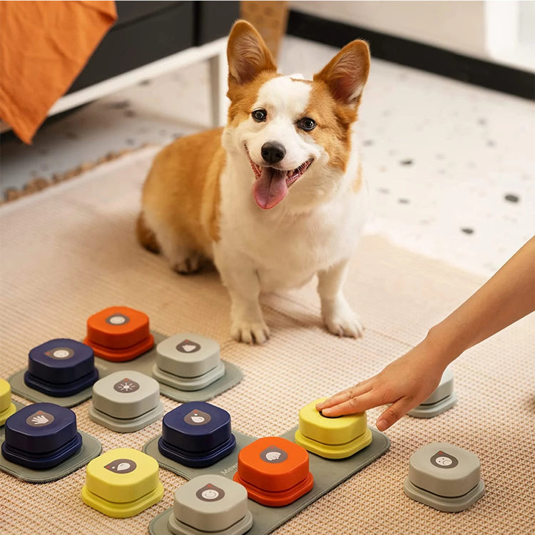 a dog sitting on the floor next to a game