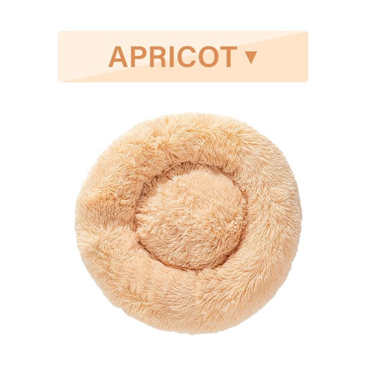 a round pillow with text above