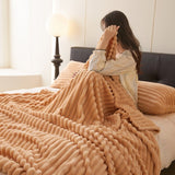 Anti-Static Plush Velvet Blanket