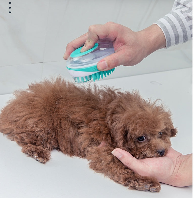 a hand holding a brush to a dog
