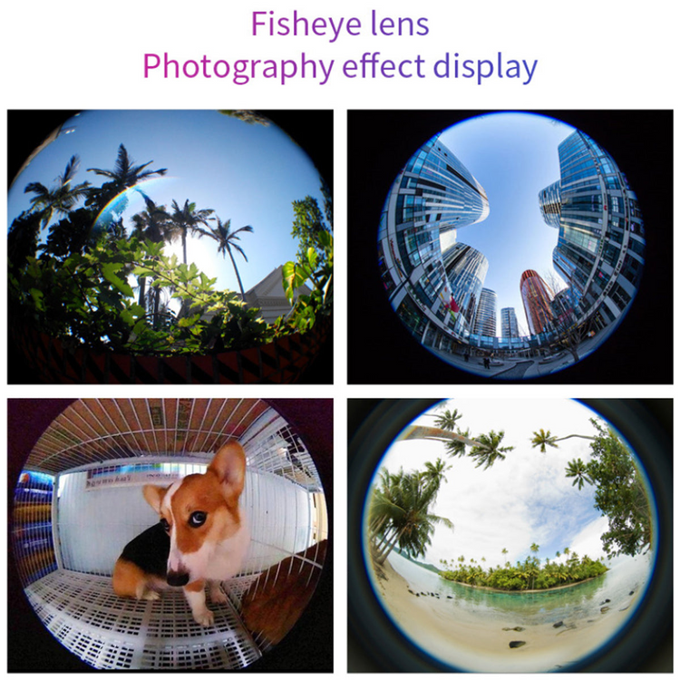 a collage of fish eye lens