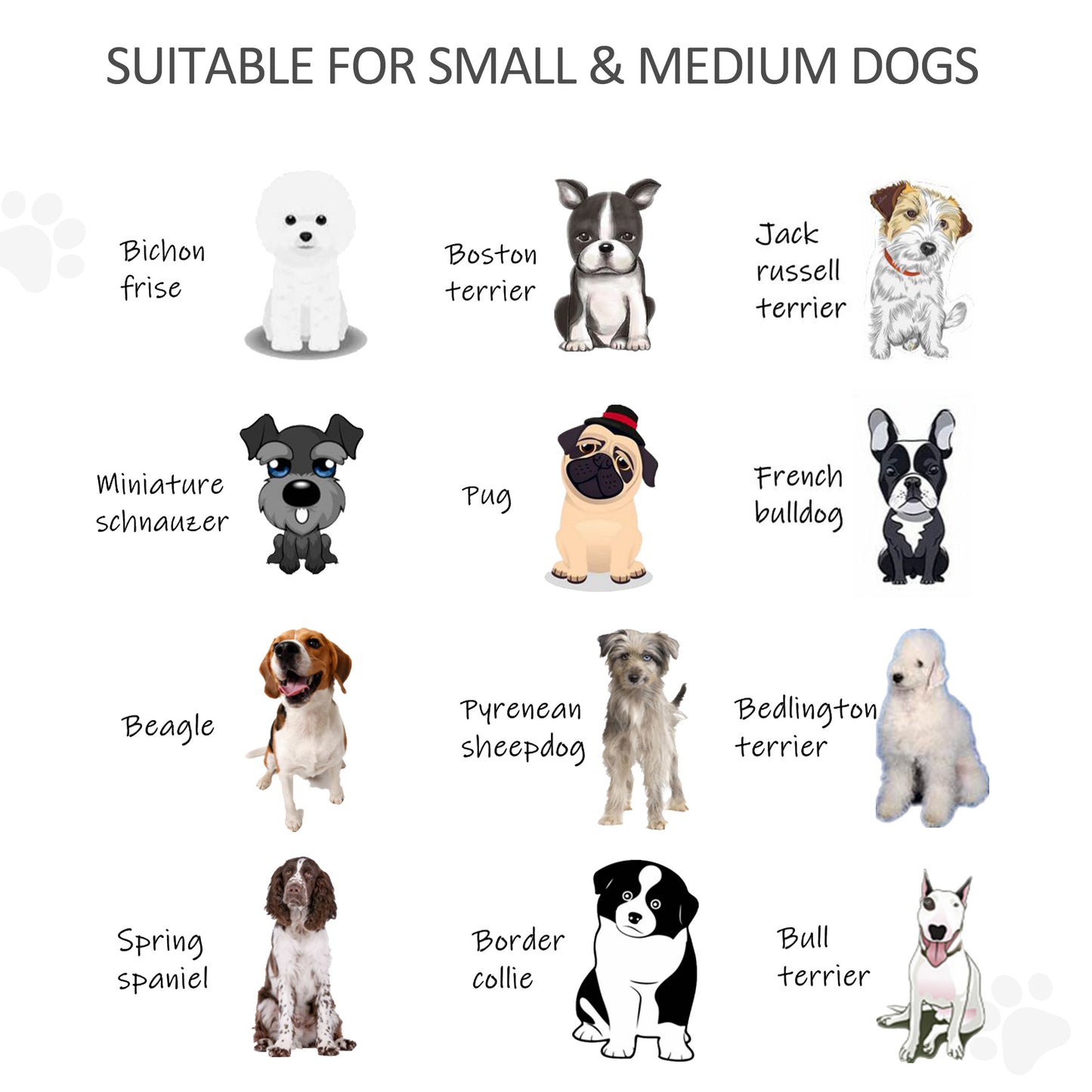 Pet Gate