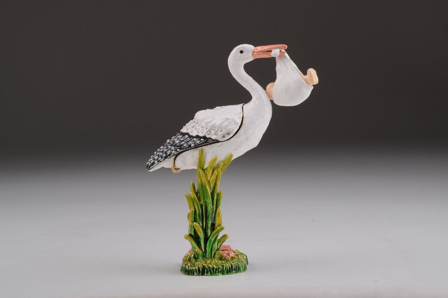 White Stork Carring a Baby