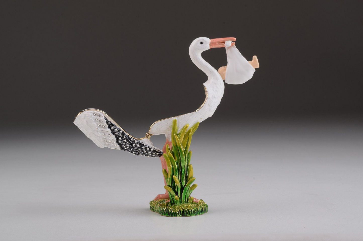 White Stork Carring a Baby