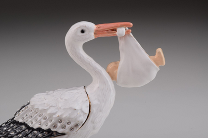 White Stork Carring a Baby