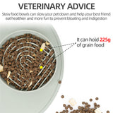 Pet Slow Food Bowl