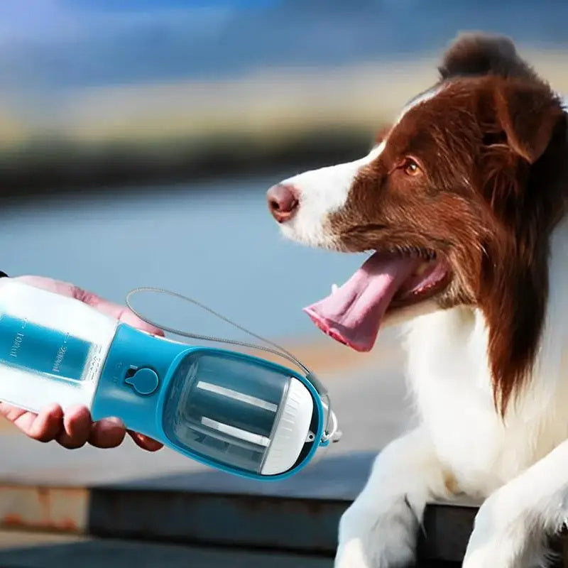 a dog looking at a hand holding a light