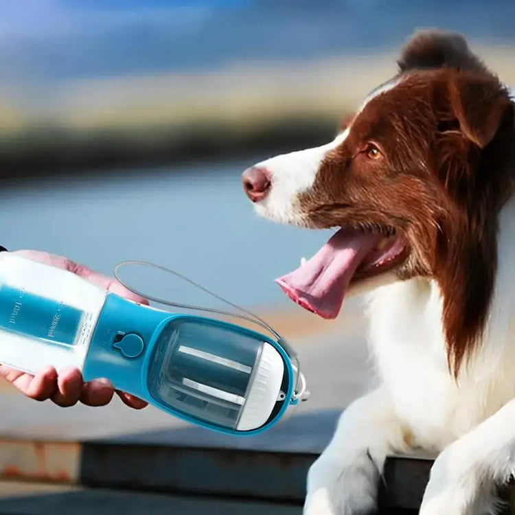 a dog looking at a hand holding a light