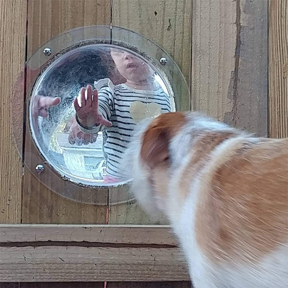 a dog looking at a window