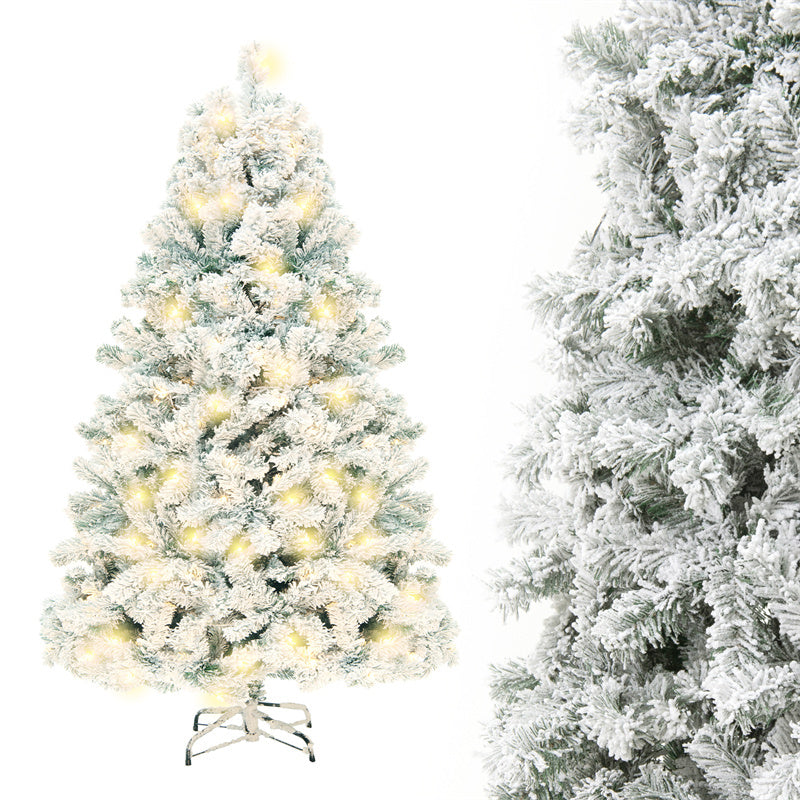 a tree with lights and snow covered trees