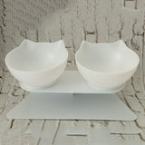 Abs Oblique Mouth Single And Double Bowl Pet Automatic Drinking Water Feeder