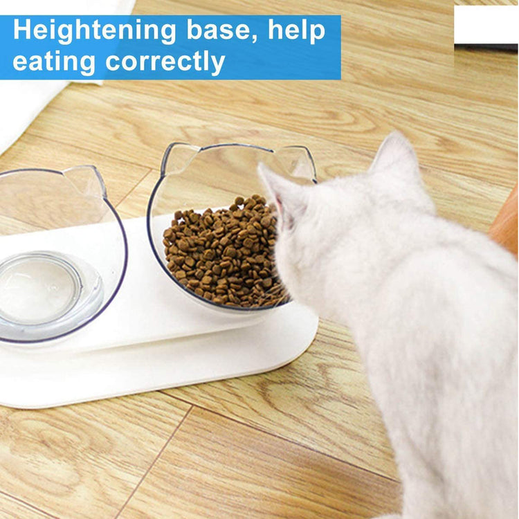 a cat looking at food in bowls