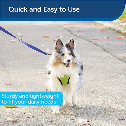 Collar Running Suit Reflective Waist Bag Cat And Dog Waist Bag Traction Rope