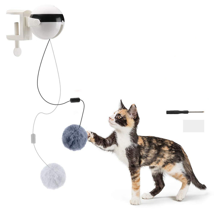 a cat playing with a toy