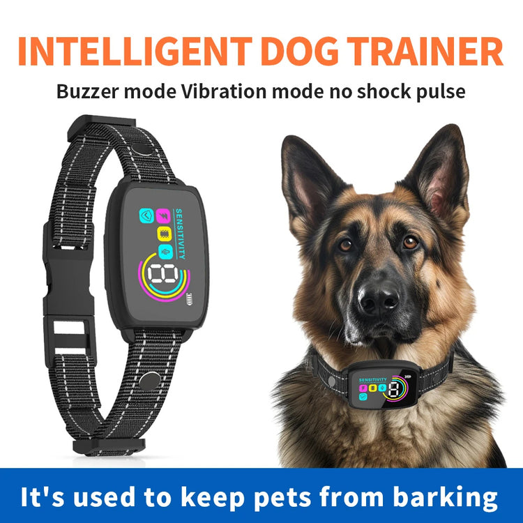 a dog and a smart watch