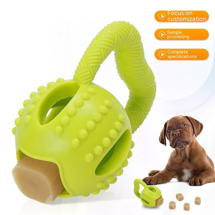 a dog looking at a toy