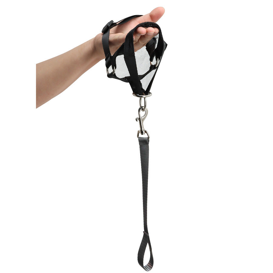 a hand holding a leash