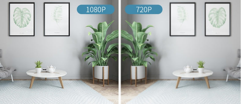a comparison of a plant in a room