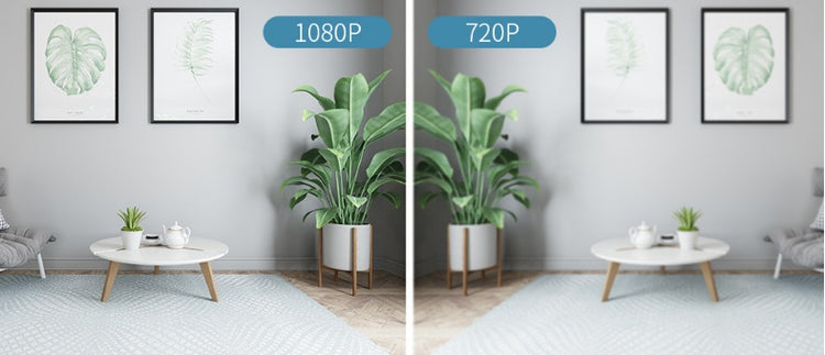 a comparison of a plant in a room