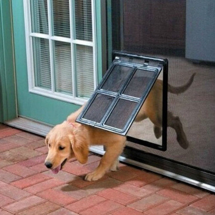 a dog with a dog door