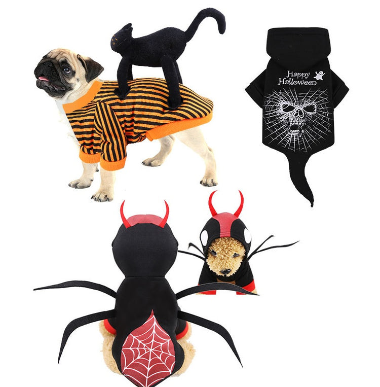a dog wearing clothing