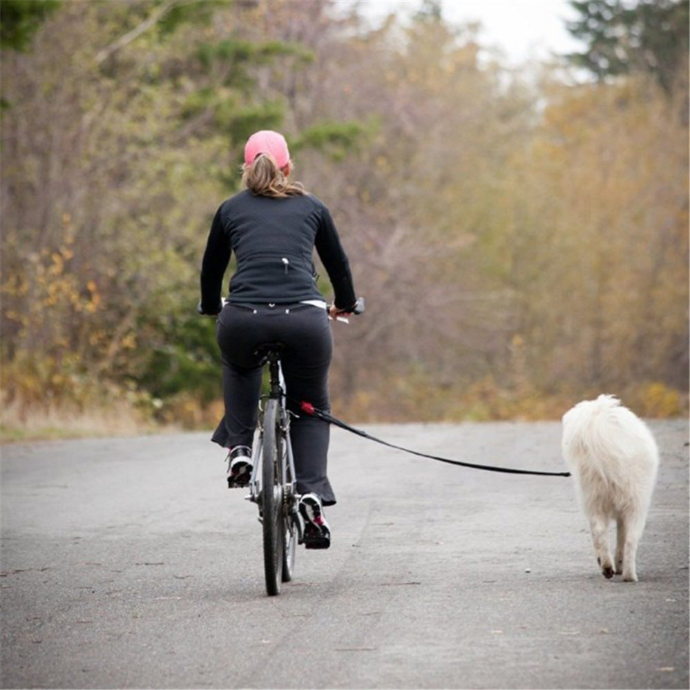 a woman riding a bike with a dog on a leash
