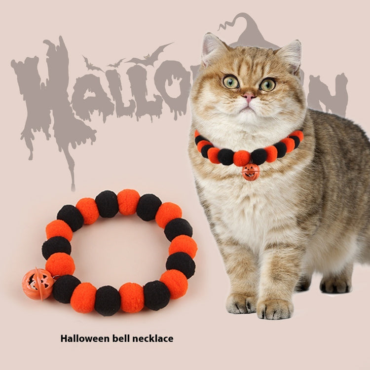 a cat wearing a necklace