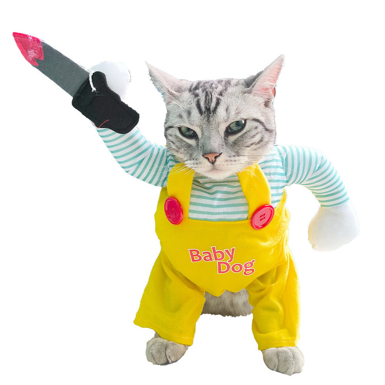 a cat in a garment