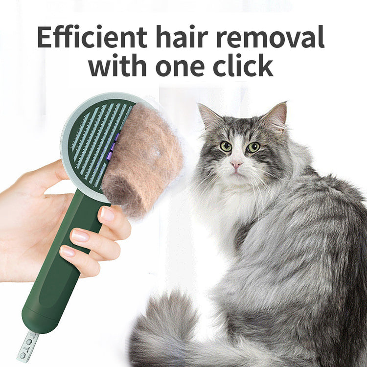 a cat with a brush