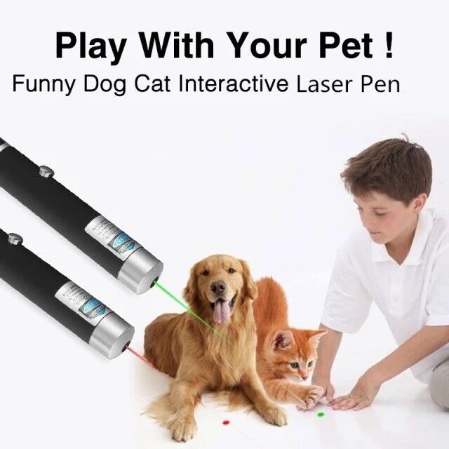 a boy playing with a dog and cat
