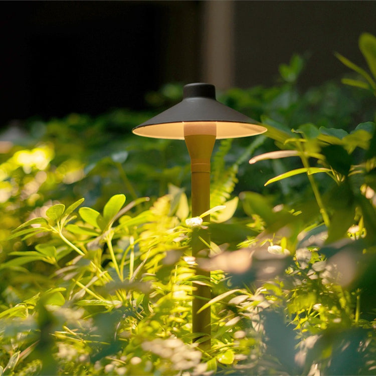a light in a garden