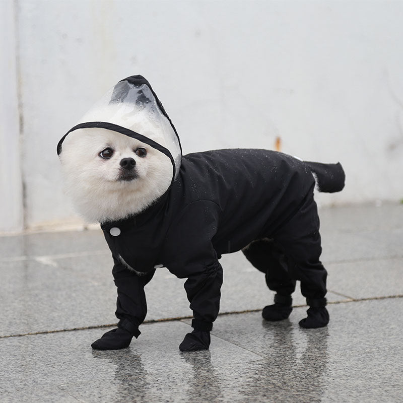 a dog wearing a black coat