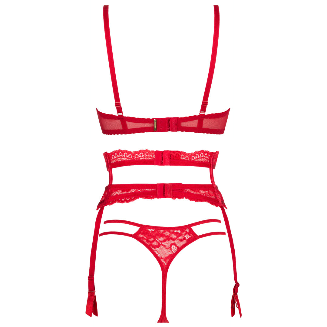 Sexy Sheer Mesh Lace Garter Belt Axami Intense