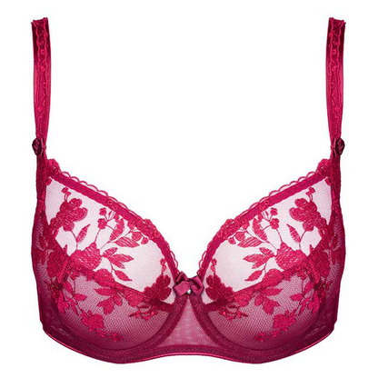 Sheer Mesh Embroidery Underwire Bra Tango