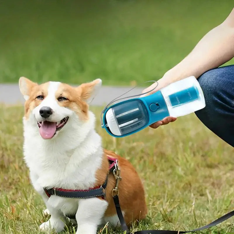 a person holding a water bottle next to a dog