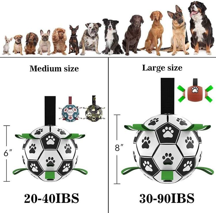 a group of dogs next to each other