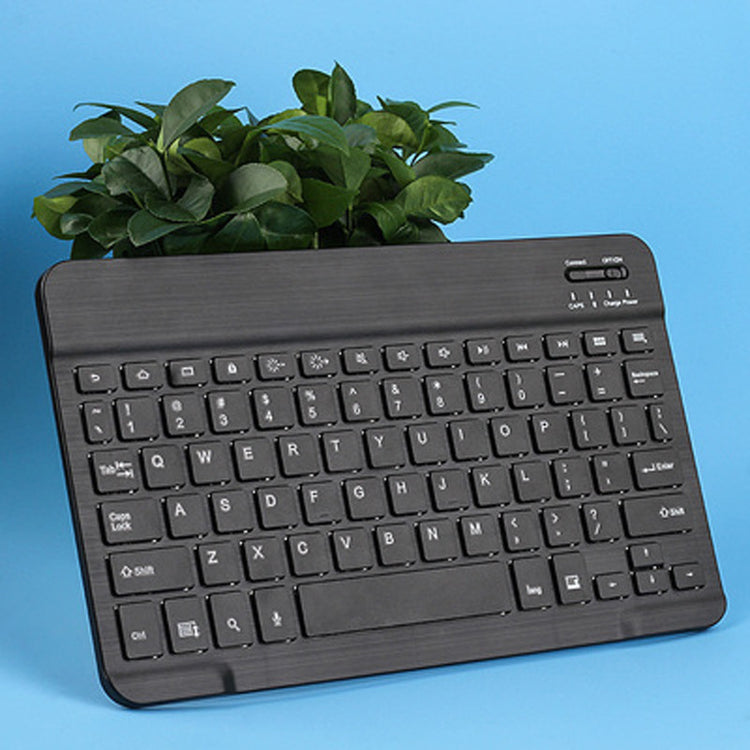 a black keyboard with a plant in the back