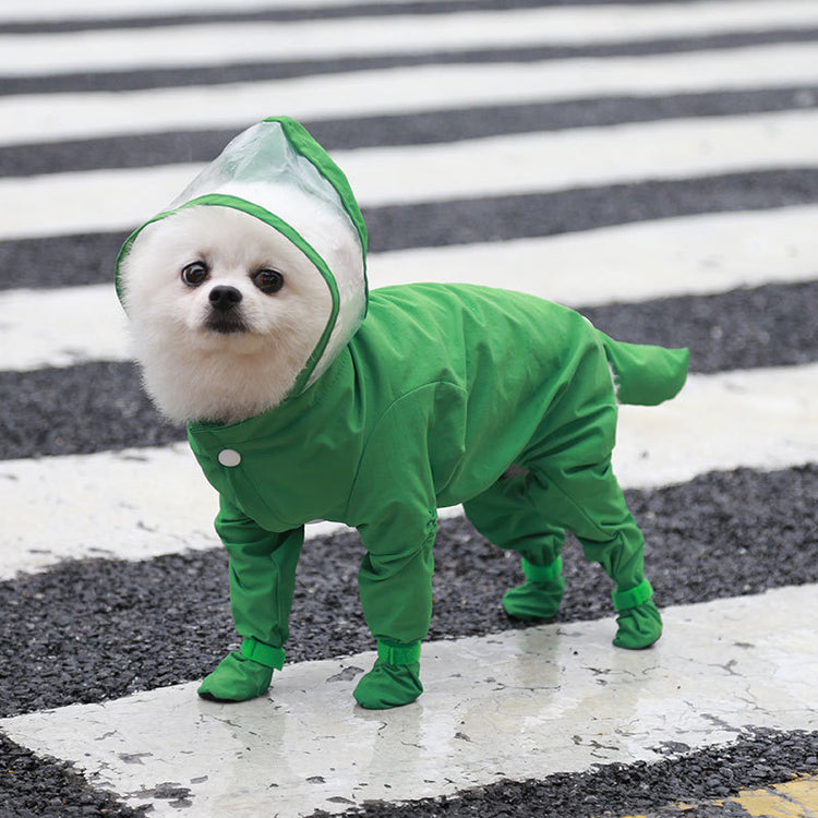 a dog wearing a green raincoat