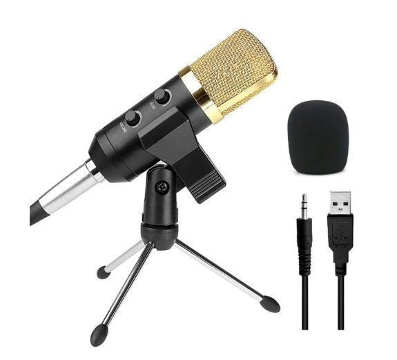 a microphone on a stand