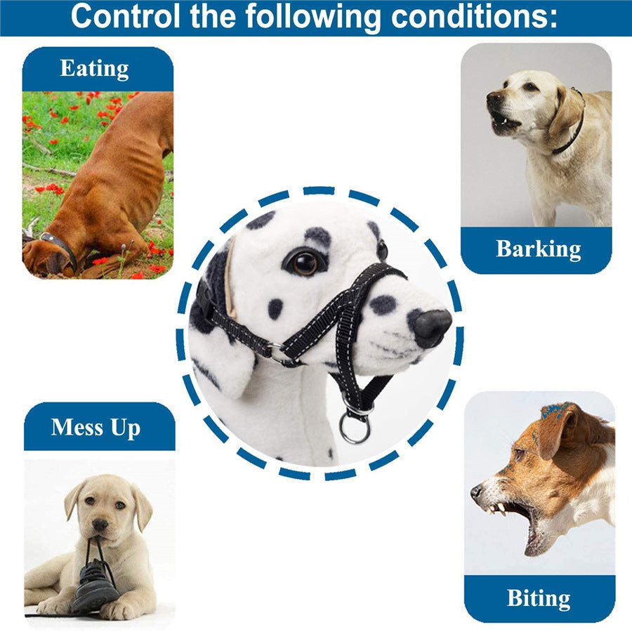 a dog with a leash