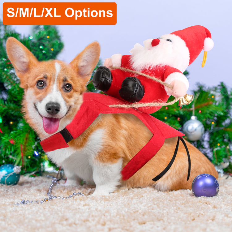 a dog wearing a santa garment