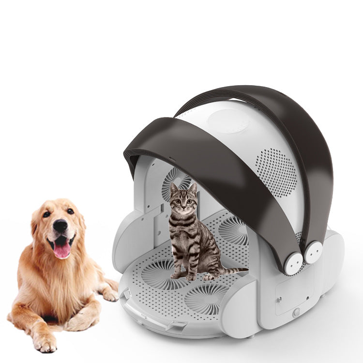 a cat and dog in a machine