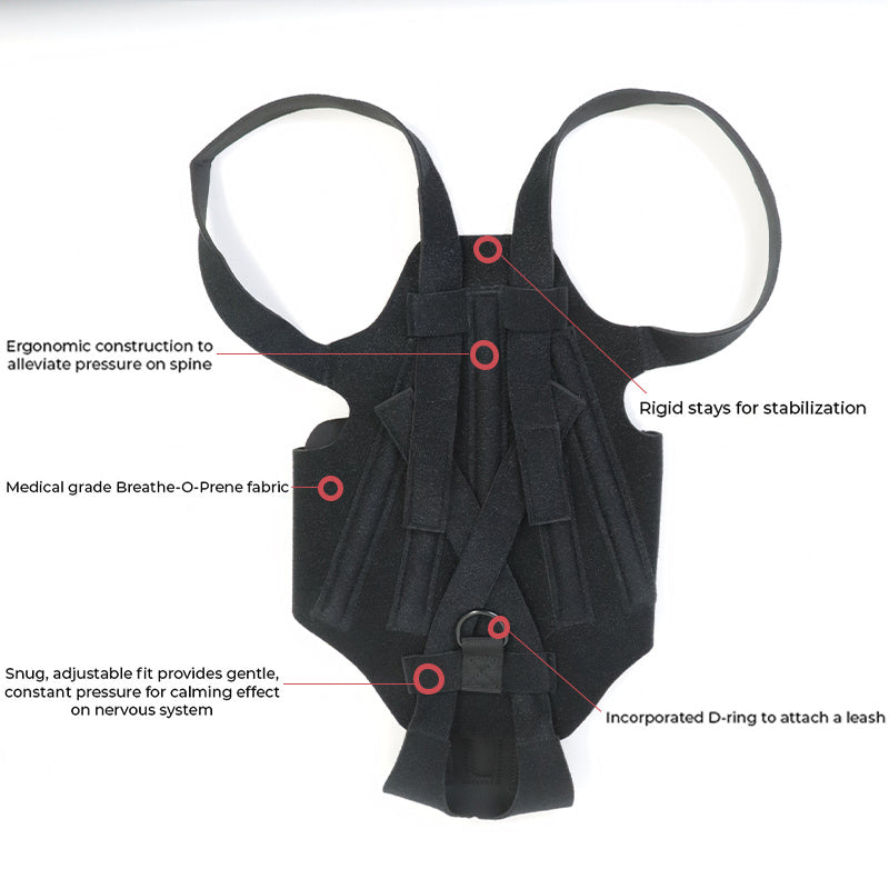 a black harness with text on it