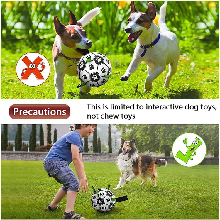 a collage of dogs playing with toys