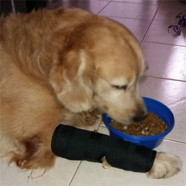 a dog eating food from a bowl