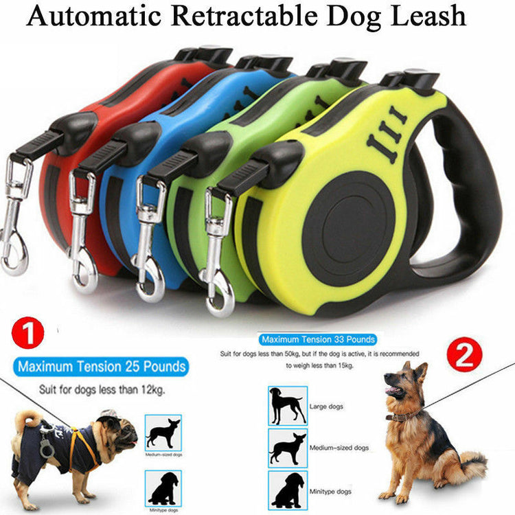 a group of retractable dog leashes